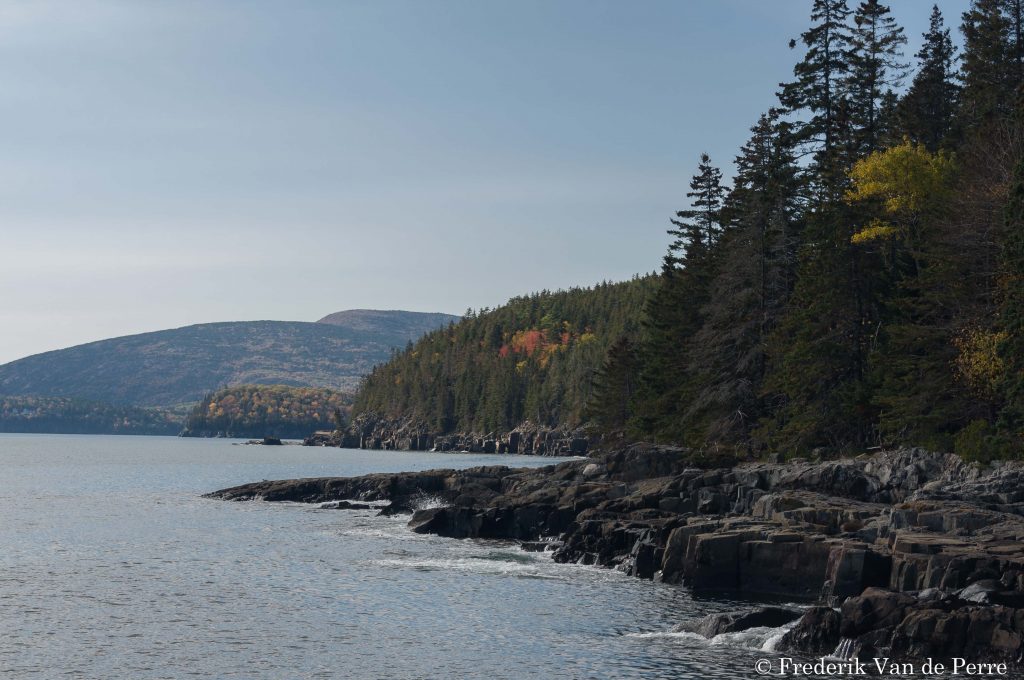 acadia coast