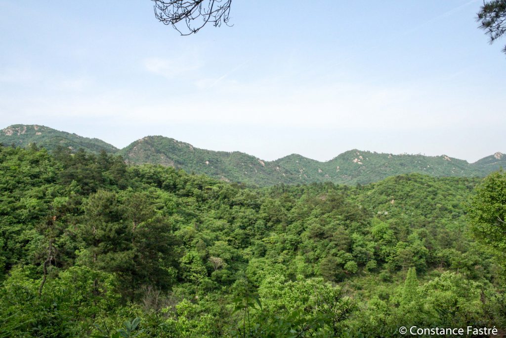 Dabie Shan mountains