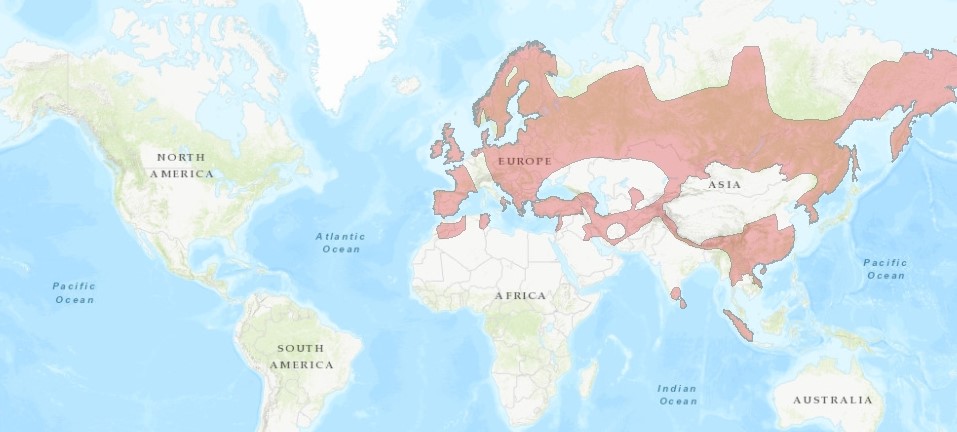 Current geographical range of the Eurasian Otter (Lutra lutra, in red) in the world 
(source: IUCN Red List, baseline map obtained from ESRI).